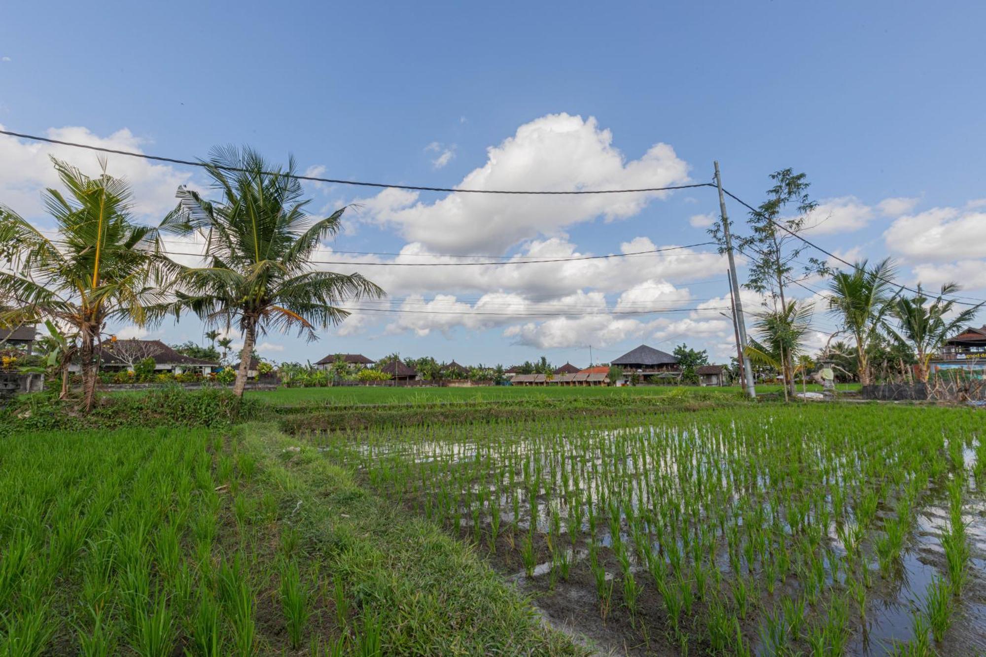Niluh Private Villas Ubud Extérieur photo